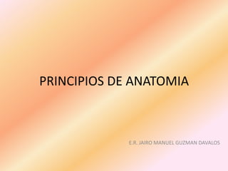 PRINCIPIOS DE ANATOMIA E.R. JAIRO MANUEL GUZMAN DAVALOS 
