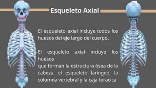 Sentido Axial principios de anatomía presentación .pdf.pptx