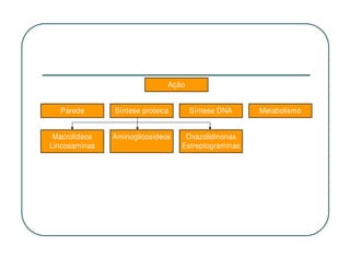 Ação


  Parede       Síntese proteica      Síntese DNA     Metabolismo


 Macrolídeos   Aminoglicosídeos    Oxazolidinonas
Lincosaminas                      Estreptograminas
 