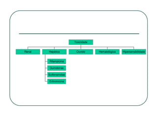 Toxicidade


Renal   Hepática        Ouvido      Hematológica   Hipersensibilidade


        Rifampicina

        Quinolonas

        Sulfonamidas

        Eritromicina
 