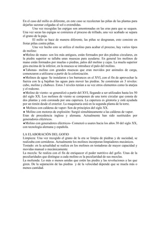 En el caso del millo es diferente, en este caso se recolectan las piñas de las plantas para
dejarlas sazonar colgadas al sol o extendidas.
Una vez recogidas las espigas son amontonadas en las eras para que se sequen.
Una vez secas las espigas se comienza el proceso de trillado, una vez acabado se separa
el grano de la paja.
El millo se hace de manera diferente, las piñas se desgranan, esto consiste en
frotar piñas contra piñas.
Una vez hecho esto se utiliza el molino para acabar el proceso, hay varios tipos
de molino:
♦Molino de mano- son los más antiguos, están formados por dos piedras circulares, en
la piedra superior se tallaba unas muescas para ayudarse. En general los molinos de
mano están formados por muelas o piedras, palos del molino y cajas. La muela superior
gira encima de la inferior, en la muesca se introduce el palo del molino.
♦Tahonas- molino con grandes muescas que eran movidos por animales de carga,
comenzaron a utilizarse a partir de la colonización.
♦Molinos de agua- Se instalaron e los barrancos en el XVI, con el fin de aprovechar la
fuerza con la q bajaban las aguas para mover las piedras. Se construían en 3 niveles:
cubo, molino y chaboco. Estos 3 niveles tenían a su vez otros elementos como la atarjea
y el rodezno.
♦Molino de viento- se generalizó a partir del XVI, llegando a ser utilizados hasta los 50
del siglo XX. Los molinos de viento se componen de una torre circular que consta de
dos plantas y está coronada por una caperuza. La caperuza es giratoria y está ayudada
por un timón desde el exterior. La maquinaria está en la segunda planta de la torre.
♦ Molinos con calderas de vapor- Son de principios del siglo XX.
♦ Molino con motores de explosión- Surgió simultáneamente a las calderas de vapor.
Eran de procedencia inglesa y alemana. Actualmente han sido sustituidos por
generadores eléctricos.
♦Molino con generadores eléctricos- Comenzó a usares hacia los años 30 del siglo XX,
con tecnología alemana y española.
LA ELABORACIÓN DEL GOFIO
Limpieza: Una vez recogido el grano de la era se limpia de piedras y de suciedad, se
realizaba con cernideras. Actualmente los molinos incorporan limpiadores mecánicos.
Tostado: en la actualidad se realiza en los molinos en tostadoras de mayor capacidad y
movidas manual o mecánicamente.
La mezcla: Se realiza con el fin de enriquecer el poder nutritivo del gofio. Unas de la
peculiaridades que distingue a cada molino es la peculiaridad de sus mezclas.
La molienda: Lo más o menos unidas que estén las piedra y las revoluciones a las que
giren. De la separación de las piedras y de la velocidad depende que se muela más o
menos cantidad.
 