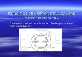 PRINCIPIOS DE GESTION DE LA CALIDAD “ La mejora continua debería ser un objetivo permanente en la organización”. PRINCIPIO 6: MEJORA CONTINUA 