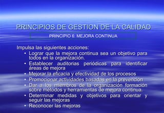 PRINCIPIOS DE GESTION DE LA CALIDAD Impulsa las siguientes acciones: Lograr que la mejora continua sea un objetivo para todos en la organización. Establecer auditorias periódicas para identificar áreas de mejora  Mejorar la eficacia y efectividad de los procesos Promocionar actividades basadas en la prevención Dar a los miembros de la organización formación sobre métodos y herramientas de mejora continua. Determinar medidas y objetivos para orientar y seguir las mejoras  Reconocer las mejoras PRINCIPIO 6: MEJORA CONTINUA 
