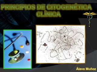 Principios de citogenética clínica Álava Muñoz 