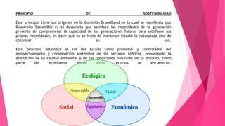 PRINCIPIO DE SOSTENIBILIDAD
Este principio tiene sus orígenes en la Comisión Brundtland en la cual se manifiesta que
Desarrollo Sostenible es el desarrollo que satisface las necesidades de la generación
presente sin comprometer la capacidad de las generaciones futuras para satisfacer sus
propias necesidades, es decir que no se trata de mantener intacta la naturaleza sino de
controlar su uso.
Este principio establece el rol del Estado como promotor y controlador del
aprovechamiento y conservación sostenible de los recursos hídricos, previniendo la
afectación de su calidad ambiental y de las condiciones naturales de su entorno, como
parte del ecosistema donde estos recursos se encuentran.
 