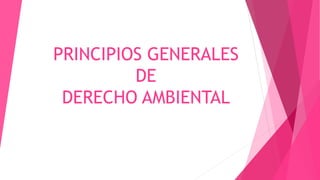 PRINCIPIOS GENERALES
DE
DERECHO AMBIENTAL
 
