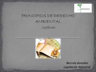 Marcela González Legislación Ambiental 