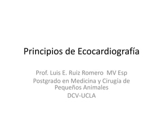 Principios de Ecocardiografía Prof. Luis E. Ruiz Romero  MV Esp Postgrado en Medicina y Cirugía de Pequeños Animales DCV-UCLA 