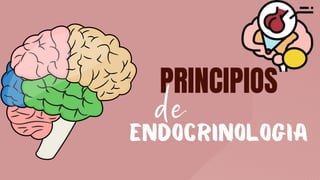 PRINCIPIOS
Endocrinologia
de
 