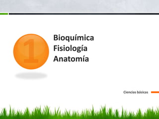 Bioquímica
Fisiología
Anatomía


             Ciencias básicas
 