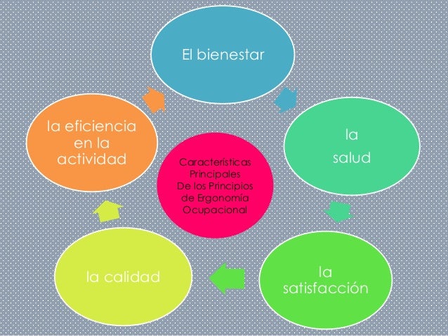Principios de ergonomia ocupacional