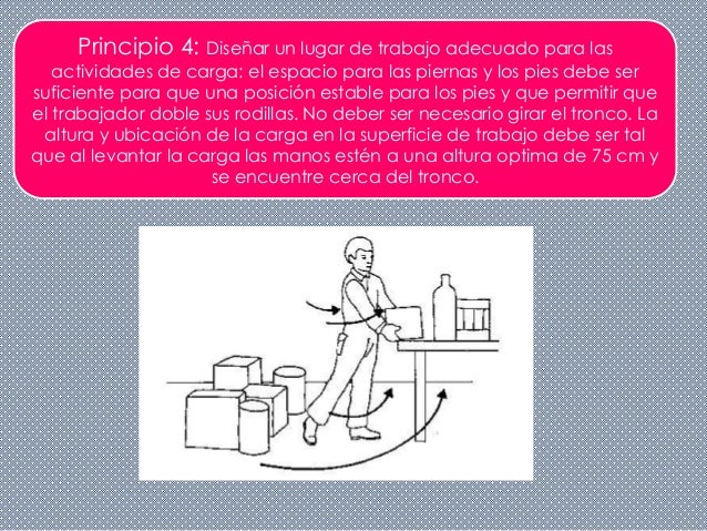 Principios de ergonomia ocupacional