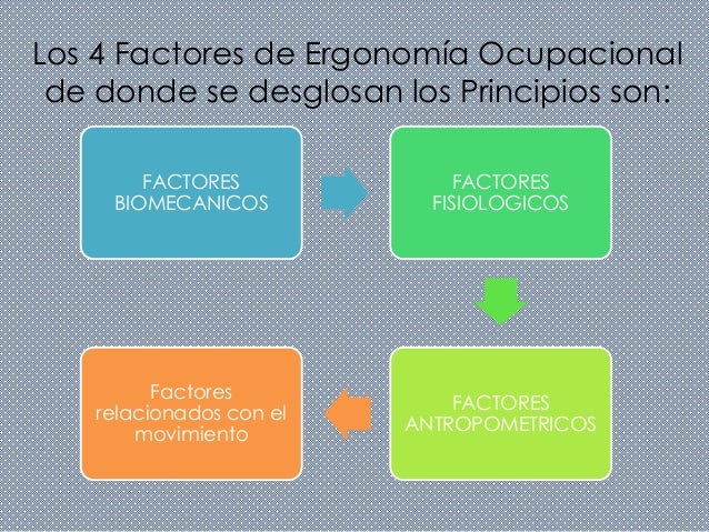 Principios de ergonomia ocupacional