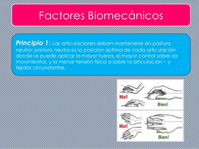 Principios de ergonomia ocupacional