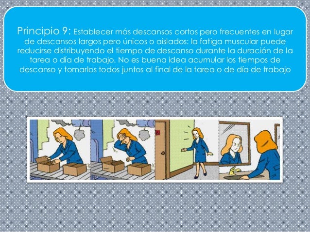 Principios de ergonomia ocupacional