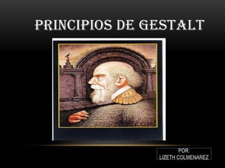 PRINCIPIOS DE GESTALT




                       POR:
               LIZETH COLMENAREZ
 