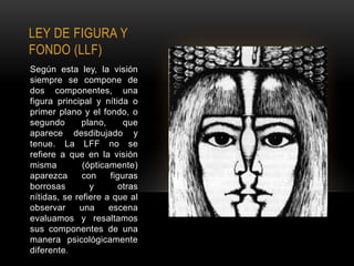 LEY DE FIGURA Y
FONDO (LLF)
Según esta ley, la visión
siempre se compone de
dos componentes, una
figura principal y nítida o
primer plano y el fondo, o
segundo       plano,     que
aparece desdibujado y
tenue. La LFF no se
refiere a que en la visión
misma         (ópticamente)
aparezca      con    figuras
borrosas        y      otras
nítidas, se refiere a que al
observar     una     escena
evaluamos y resaltamos
sus componentes de una
manera psicológicamente
diferente.
 