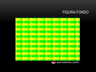 FIGURA-FONDO
 