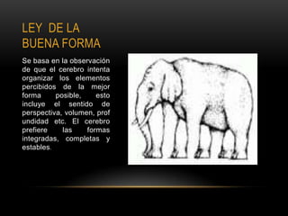LEY DE LA
BUENA FORMA
Se basa en la observación
de que el cerebro intenta
organizar los elementos
percibidos de la mejor
forma     posible,    esto
incluye el sentido de
perspectiva, volumen, prof
undidad etc. El cerebro
prefiere    las    formas
integradas, completas y
estables.
 