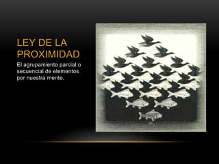 LEY DE LA
PROXIMIDAD
El agrupamiento parcial o
secuencial de elementos
por nuestra mente.
 