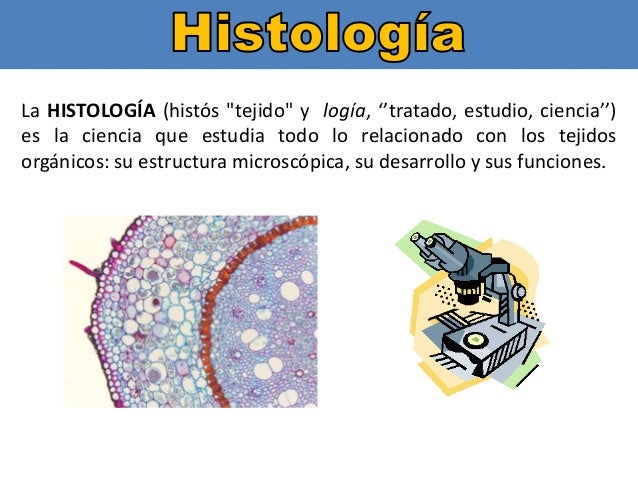 Principios de histologia
