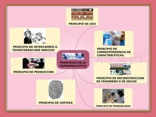 Principios de la criminalistica  ariannylopez
