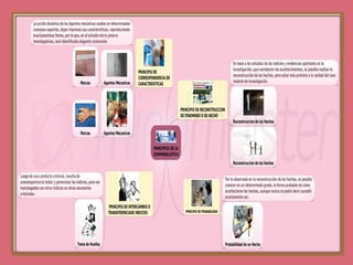 Principios de la criminalistica  ariannylopez