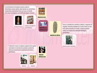 Principios de la criminalistica  ariannylopez