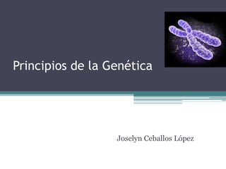 Principios de la Genética




                  Joselyn Ceballos López
 