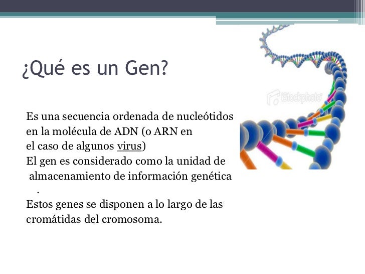 Principios de la genética copia