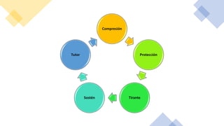 Compresión
Protección
Tirante
Sostén
Tutor
 