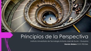 Principios de la Perspectiva
Instituto Universitario de Tecnología Antonio José de Sucre – Guayana
Hernán Molero CI:31.933.566.
 