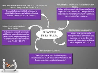 PRINCIPIO DE LA PROHIBICION DE APLICAR EL CONOCIMIENTO
PRIVADO DEL JUEZ SOBRE LOS HECHOS:
Resguarda la imparcialidad, aplicando la
publicidad de la prueba y la bilateralidad de
control. Establecido en Art. 26 CRBV
PRINCIPIO DEL INTERES PUBLICO
DE LA PRUEBA:
Sostiene que no existe un interés
público en los medios de prueba a
pesar de que las partes persiguen
su propio beneficio. Se evidencia
en el Art. 16 y 18 CPC
PRINCIPIO DE LA FORMALIDAD Y LEGITIMIDAD DE LA
PRUEBA:
Deben utilizarse medios legítimos para llevarla
al proceso (Art. 49, Ord. 1ro. CRBV) además se
requiere que provenga de un sujeto legitimado
para promoverla y evacuarla.
PRINCIPIOS
DE LA PRUEBA
PRINCIPIO DE LA IMPARCIALIDAD:
El juez debe garantizar la
transparencia del proceso en todo
momento por lo que debe ser
imparcial, sin preferencia alguna
hacia las partes. Art. 15 CPC
PRINCIPIO DE LA GRATUIDAD:
Todo el proceso se hará sin costo alguno,
considerando que el Art. 26 de la CRVB establece: “El
Estado garantizará una justicia gratuita”.
 