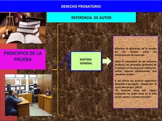 DERECHO PROBATORIO
REFERENCIA DE AUTORREFERENCIA DE AUTOR
SENTIDO
GENERAL
SENTIDO
GENERAL
Orientan la aplicación de la prueba
de los hechos como las
declaraciones de voluntad .
Dada la naturaleza de los procesos
jurídicos, los principios generales de
la prueba en los procesos ordinarios,
sufren algunas adaptaciones que
conviene reseñar.
A tal efecto los autores argentinos
Mouchet y zorraquin, citados por el
autor Hernández (2013)
“El Derecho tiene por objeto
implantar un orden justo en la vida
social, sujeto a normas morales”
 