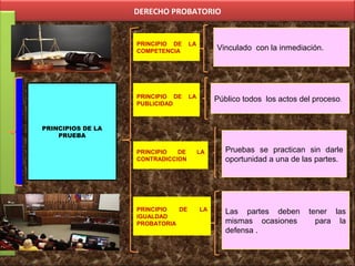 DERECHO PROBATORIO
PRINCIPIOS DE LA
PRUEBA
Vinculado con la inmediación.Vinculado con la inmediación.
Pruebas se practican sin darle
oportunidad a una de las partes.
Pruebas se practican sin darle
oportunidad a una de las partes.
PRINCIPIO DE LA
COMPETENCIA
Público todos los actos del proceso.Público todos los actos del proceso.
PRINCIPIO DE LA
PUBLICIDAD
PRINCIPIO DE LA
CONTRADICCION:
PRINCIPIO DE LA
IGUALDAD
PROBATORIA
Las partes deben tener las
mismas ocasiones para la
defensa .
Las partes deben tener las
mismas ocasiones para la
defensa .
 