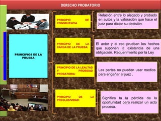 DERECHO PROBATORIO
Relación entre lo alegado y probado
en autos y la valoración que hace el
juez para dictar su decisión.
Relación entre lo alegado y probado
en autos y la valoración que hace el
juez para dictar su decisión.
Las partes no pueden usar medios
para engañar al juez .
Las partes no pueden usar medios
para engañar al juez .
PRINCIPIO DE
CONGRUENCIA
El actor y el reo prueban los hechos
que suponen la existencia de una
obligación. Requerimiento por la Ley
El actor y el reo prueban los hechos
que suponen la existencia de una
obligación. Requerimiento por la Ley
PRINCIPIO DE LA
CARGA DE LA PRUEBA:
PRINCIPIO DE LA LEALTAD
Y PROBIDAD
PROBATORIA:
PRINCIPIO DE LA
PRECLUSIVIDAD:
Significa la la pérdida de la
oportunidad para realizar un acto
procesa.
Significa la la pérdida de la
oportunidad para realizar un acto
procesa.
PRINCIPIOS DE LA
PRUEBA
 
