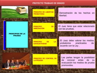 PROYECTO TRABAJO DE GRADO
Demostración de los hechos en
libertad.
Demostración de los hechos en
libertad.
El Juez debe valorar los medios
probatorios practicados de
acuerdo con la Ley .
El Juez debe valorar los medios
probatorios practicados de
acuerdo con la Ley .
PRINCIPIO DE LIBERTAD
PROBATORIA
El Juez tiene que estar relacionado
con las pruebas.
El Juez tiene que estar relacionado
con las pruebas.
PRINCIPIO DE
INMEDIACIÓN
PRINCIPIO DE LA
EXHAUSTIVIDAD
PRINCIPIO DE CONTROL DE
LA PRUEBA
Las partes tengan la posibilidad
de conocer antes de su
evacuación los medios de prueba
promovidos.
Las partes tengan la posibilidad
de conocer antes de su
evacuación los medios de prueba
promovidos.
PRINCIPIOS DE LA
PRUEBA
 