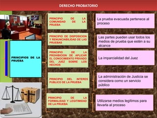 DERECHO PROBATORIODERECHO PROBATORIO
PRINCIPIO DE LA
COMUNIDAD DE LA
PRUEBA
PRINCIPIO DE LA
PROHIBICION DE APLICAR
EL CONOCIMIENTO PRIVADO
DEL JUEZ SOBRE LOS
HECHOS
La prueba evacuada pertenece al
proceso
La prueba evacuada pertenece al
proceso
PRINCIPIO DE LA
FORMALIDAD Y LEGITIMIDAD
DE LA PRUEBA
La imparcialidad del JuezLa imparcialidad del Juez
La administración de Justicia se
considera como un servicio
público
La administración de Justicia se
considera como un servicio
público
PRINCIPIOS DE LA
PRUEBA
PRINCIPIO DE DISPOSICION
Y RENUNCIABILIDAD DE LAS
PRUEBAS
PRINCIPIO DEL INTERES
PUBLICO DE LA PRUEBA
Las partes pueden usar todos los
medios de prueba que estén a su
alcance
Las partes pueden usar todos los
medios de prueba que estén a su
alcance
Utilizarse medios legítimos para
llevarla al proceso
Utilizarse medios legítimos para
llevarla al proceso
 