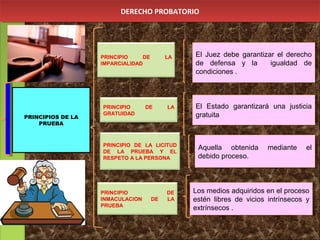 DERECHO PROBATORIODERECHO PROBATORIO
PRINCIPIO DE LA
IMPARCIALIDAD
PRINCIPIO DE LA LICITUD
DE LA PRUEBA Y EL
RESPETO A LA PERSONA
El Juez debe garantizar el derecho
de defensa y la igualdad de
condiciones .
El Juez debe garantizar el derecho
de defensa y la igualdad de
condiciones .
Aquella obtenida mediante el
debido proceso.
Aquella obtenida mediante el
debido proceso.
Los medios adquiridos en el proceso
estén libres de vicios intrínsecos y
extrínsecos .
Los medios adquiridos en el proceso
estén libres de vicios intrínsecos y
extrínsecos .
PRINCIPIOS DE LA
PRUEBA
PRINCIPIO DE LA
GRATUIDAD
PRINCIPIO DE
INMACULACION DE LA
PRUEBA
El Estado garantizará una justicia
gratuita
El Estado garantizará una justicia
gratuita
 