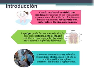 Introducción
Cuando un diente ha sufrido una
pérdida de sustancia en sus tejidos duros
o presenta una alteración de color, forma o
tamaño es necesario restaurarlo con
materiales y técnicas adecuados.

La pulpa puede formar nueva dentina, lo
hace como defensa ante el ataque
recibido, no para reparar la pérdida de
sustancia en la superficie del diente.

A veces es necesario actuar sobre los
tejidos duros afectados con el objeto de
modificar o eliminar tejidos
enfermos, debilitados o pigmentados.

 