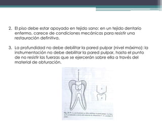 2. El piso debe estar apoyado en tejido sano: en un tejido dentario
enfermo, carece de condiciones mecánicas para resistir una
restauración definitiva.
3. La profundidad no debe debilitar la pared pulpar (nivel máximo): la
instrumentación no debe debilitar la pared pulpar, hasta el punto
de no resistir las fuerzas que se ejercerán sobre ella a través del
material de obturación.

 