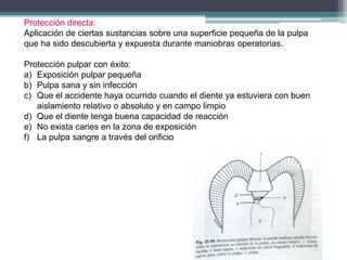Protección directa:
Aplicación de ciertas sustancias sobre una superficie pequeña de la pulpa
que ha sido descubierta y expuesta durante maniobras operatorias.
Protección pulpar con éxito:
a) Exposición pulpar pequeña
b) Pulpa sana y sin infección
c) Que el accidente haya ocurrido cuando el diente ya estuviera con buen
aislamiento relativo o absoluto y en campo limpio
d) Que el diente tenga buena capacidad de reacción
e) No exista caries en la zona de exposición
f) La pulpa sangre a través del orificio

 