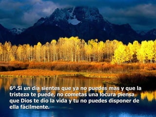 6º.Si un día sientes que ya no puedes mas y que la
tristeza te puede, no cometas una locura piensa
que Dios te dio la vida y tu no puedes disponer de
ella fácilmente.
 