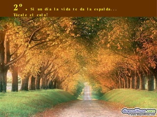 2º. Si un día la vida te da la espalda... Tócale el culo! 