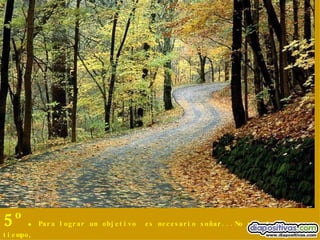 5º. Para lograr un objetivo  es necesario soñar...No pierdas tiempo, mándalo todo a la mierda y...Vete a dormir! 