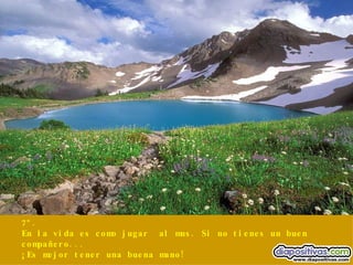 7º. En la vida es como jugar  al mus. Si no tienes un buen compañero... ¡Es mejor tener una buena mano! 