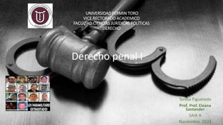 UNIVERSIDAD FERMIN TORO
VICE RECTORADO ACADEMICO
FACULTAD CIENCIAS JURÍDICAS POLÍTICAS
DERECHO
Teresa Figueredo
Prof. Prof. Eleana
Santander
SAIA A
Noviembre 2023
Derecho penal I
 