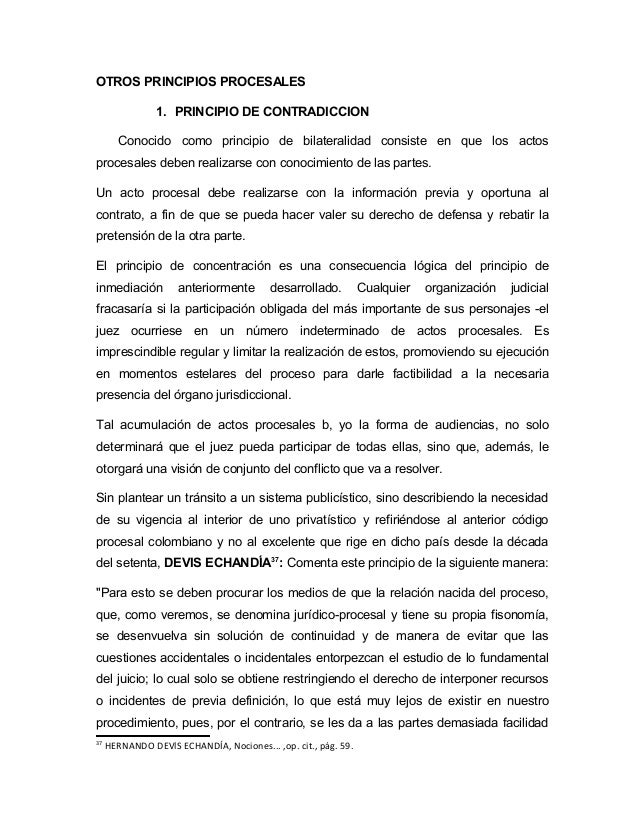 Principios del derecho procesal civil