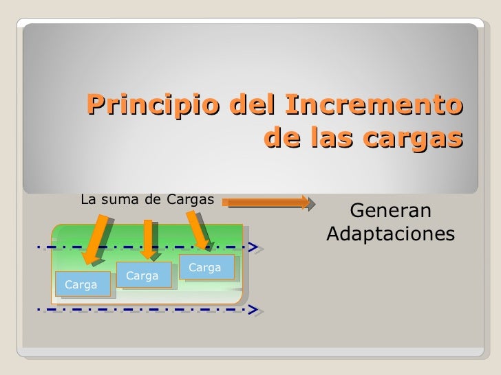 Principios del entrenamiento