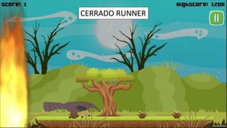 CERRADO RUNNER
 